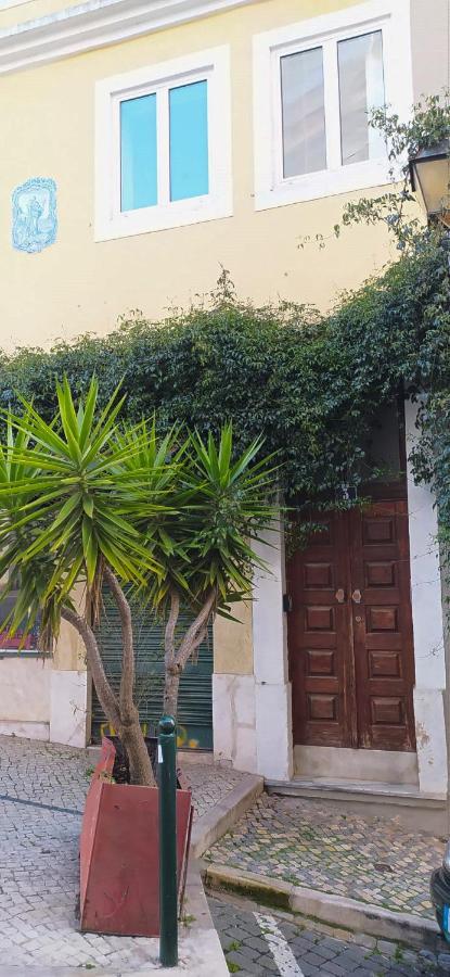 New Charming Flat - Lisbon Center Apartment Bagian luar foto