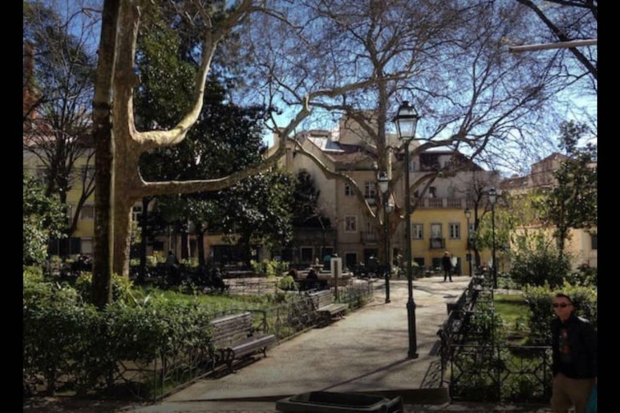New Charming Flat - Lisbon Center Apartment Bagian luar foto